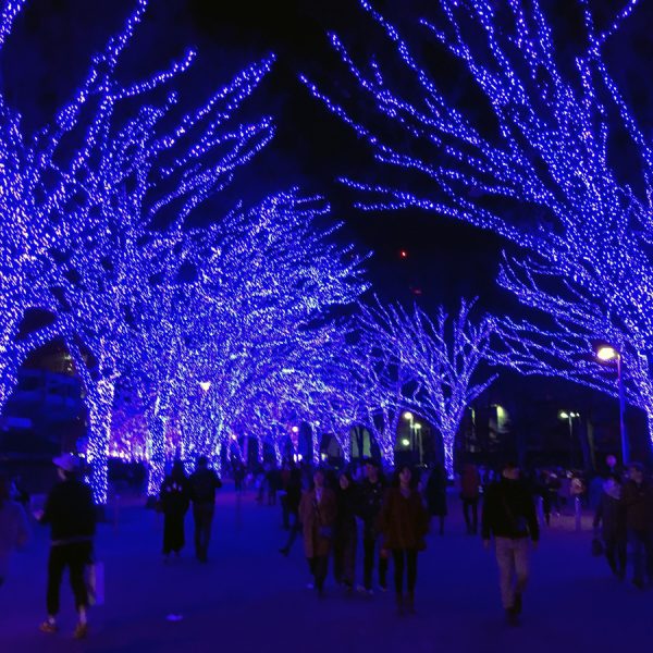 SHIBUYA 青の洞窟