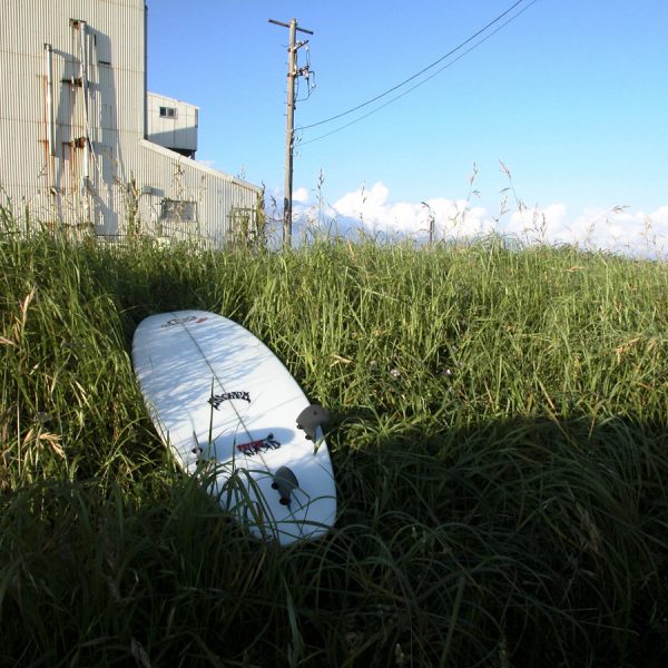 Surfing