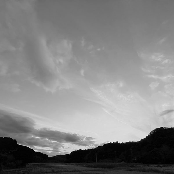 2026年 二度目の寒波